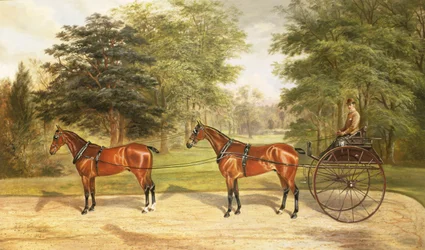 Dois cavalos, aproveitados em conjunto, puxando uma carruagem, 1883